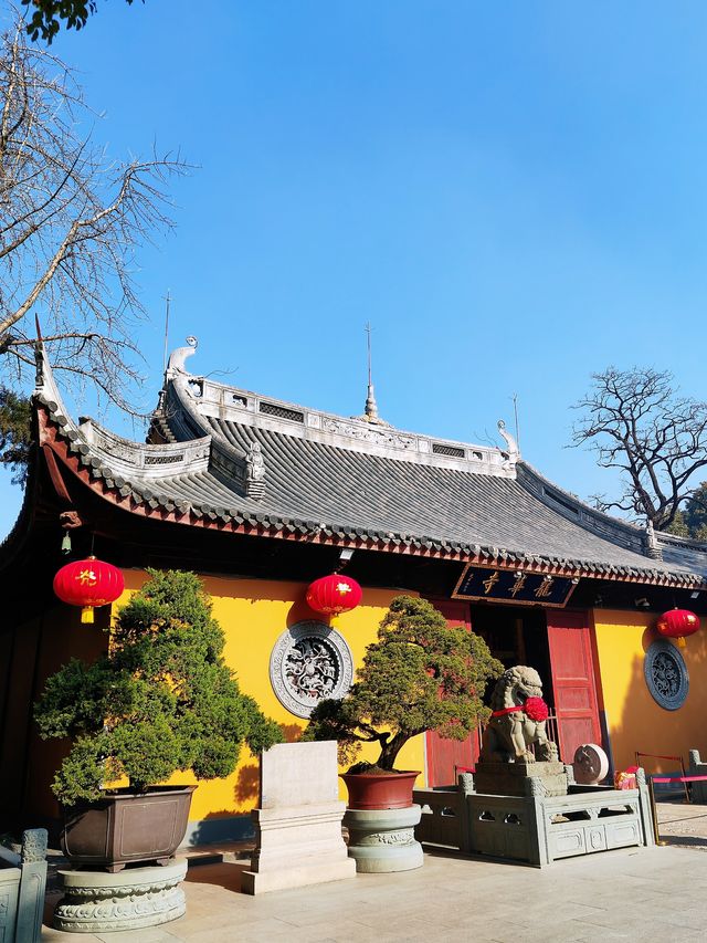 魔都Citywalk 祈福龍華寺 貓貓也很可愛哦