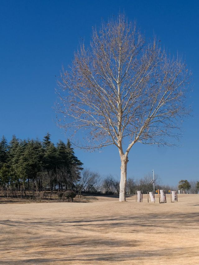 在鄭州不在洱海，冬季這裡美得像是天堂