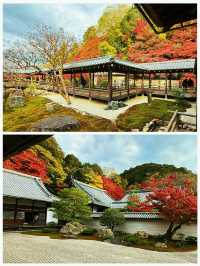 京都·南禪寺｜來京都必打卡的寶藏寺院體驗和服之美