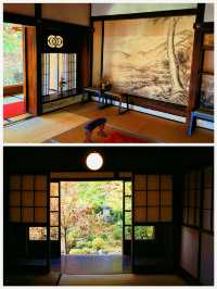 京都·寶泉院｜畫框一般繪畫卷環顧式庭院體驗和服之美