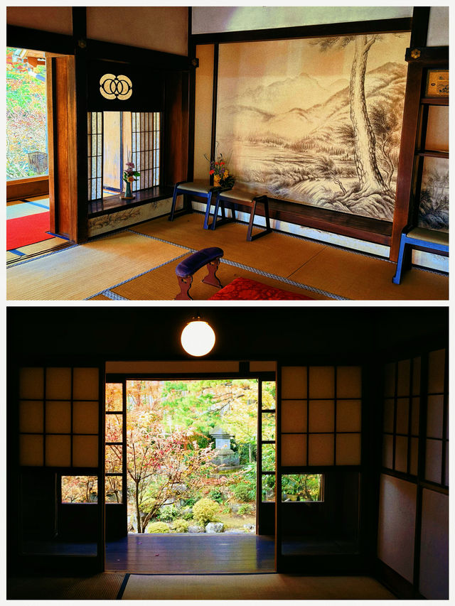 京都·寶泉院｜畫框一般繪畫卷環顧式庭院體驗和服之美