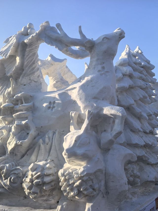 哈爾濱-雪鄉滑雪攻略不看後悔超詳細