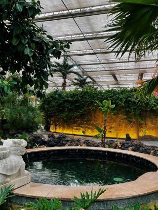 大同溫泉|春節擺爛放鬆去處