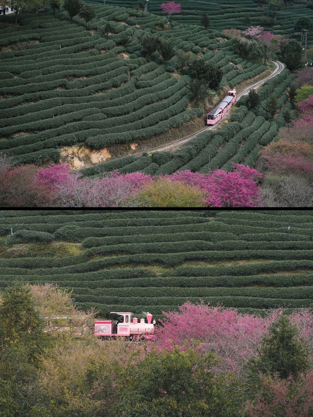 泉州-龍岩-漳州探秘 邂逅古風韻味與歷史遺跡