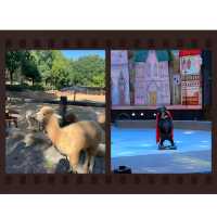 探秘安徽大青山野生動物園，邂逅自然野性之美