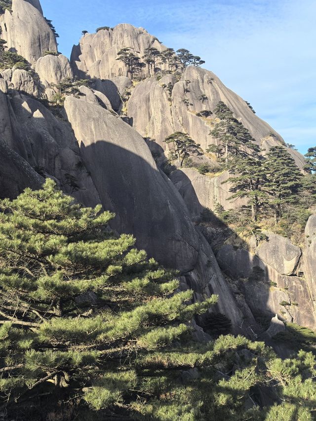 冬日黃山 2日遊攻略玩轉壯麗風光