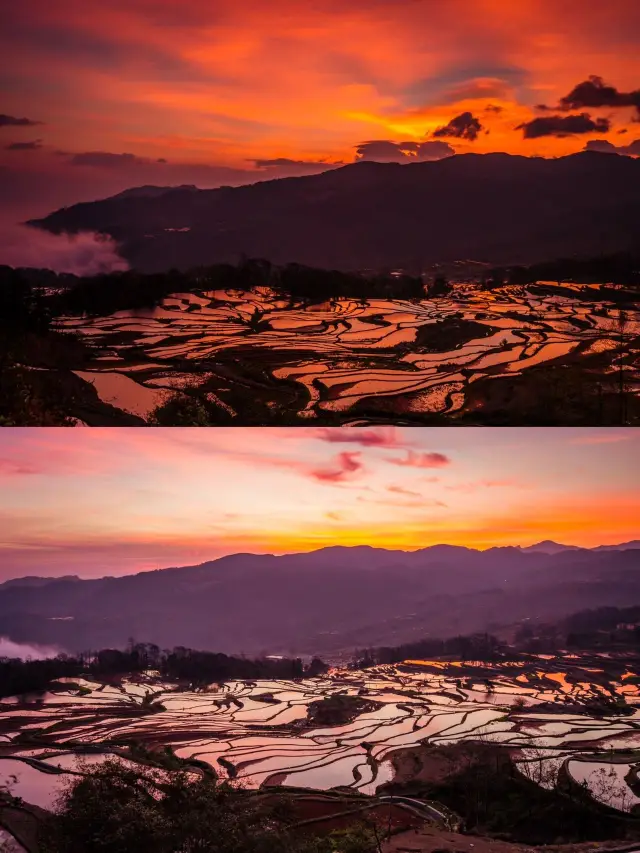 Enjoy a Winter Vacation in Honghe, Qujing, and Yuxi: A Detailed Guide