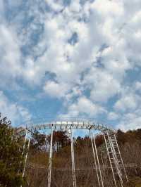 斯里蘭卡免簽7日遊 玩轉全島不踩坑