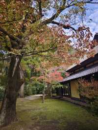 日本溫泉私藏建議壯麗體驗別錯過