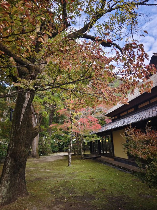 日本溫泉私藏建議壯麗體驗別錯過