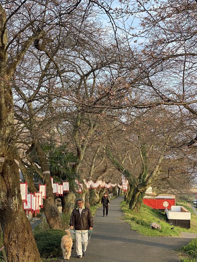 探秘日本福井：自然美景與文化遺產的完美融合