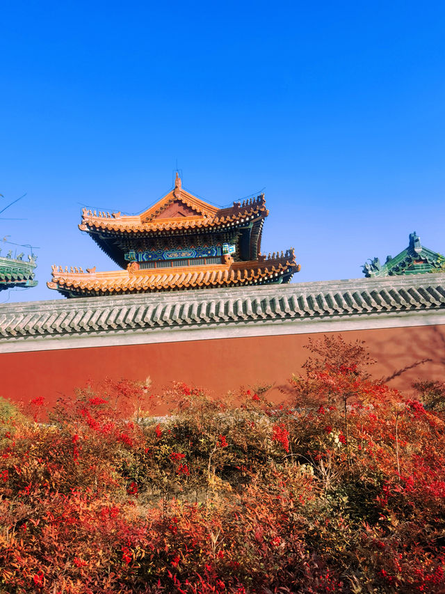 商丘這座月老祠太好逛，一日沉浸式感受中式浪漫