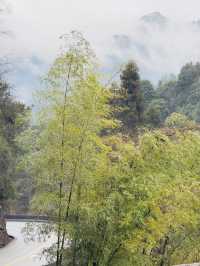 在貴州大山裏徒步 身臨其境的愜意