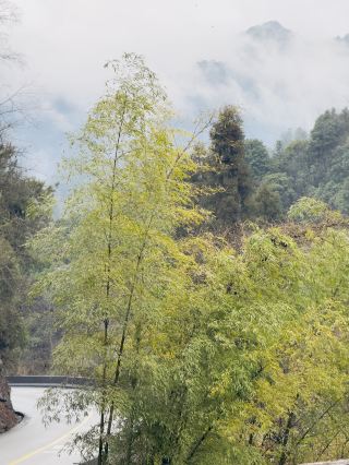Hiking in the mountains of Guizhou