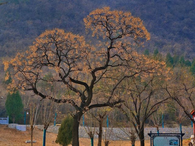靈泉寺石窟又名萬佛溝，小龍門