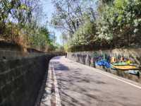 漫步冬日暖陽下的攀枝花公園