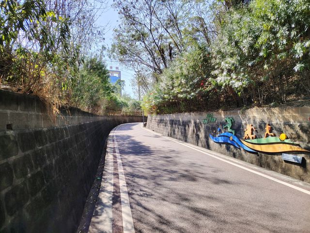 漫步冬日暖陽下的攀枝花公園