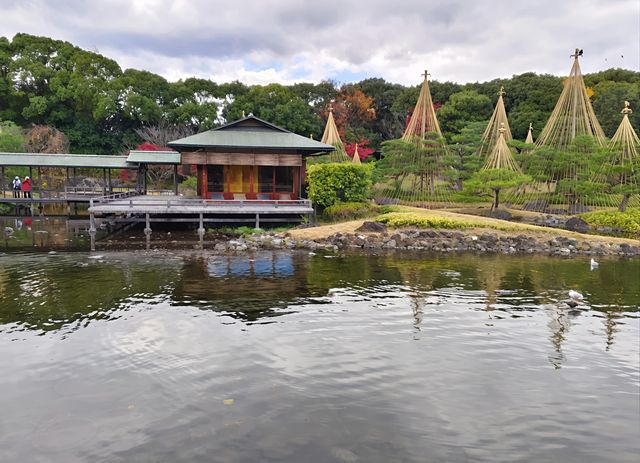 探索名古屋白鳥庭園｜欣賞自然之美