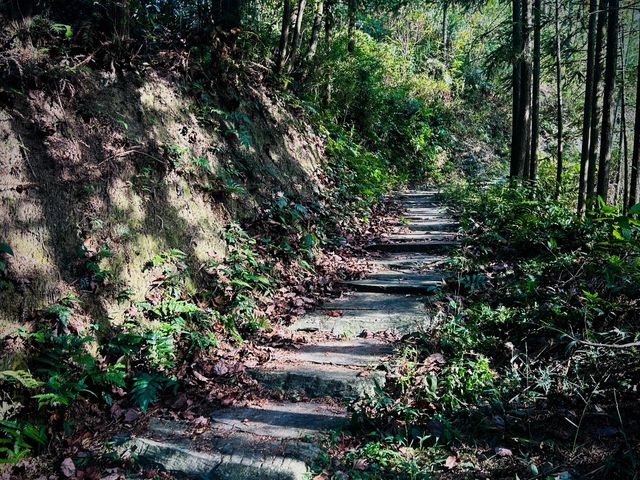 湖南益陽安化茶馬古道|一條被遺忘的洞市老街