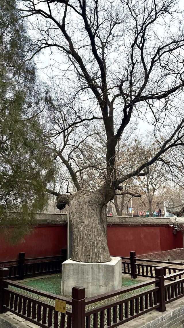 天寧寺塔：梁思成曾親自來考察