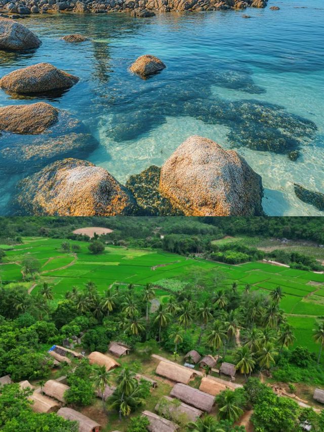 瓊海：椰林海浪編織的海島詩章，赴一場藍色綺夢