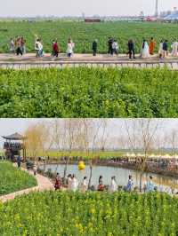 2025雲夢縣油菜花海文化旅遊節