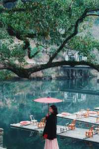 婺源油菜花實況播報｜想去嘅姊妹請再等一周