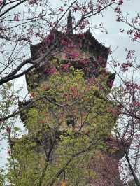 廈門-鼓浪嶼-泉州7日遊 玩轉三地不繞路
