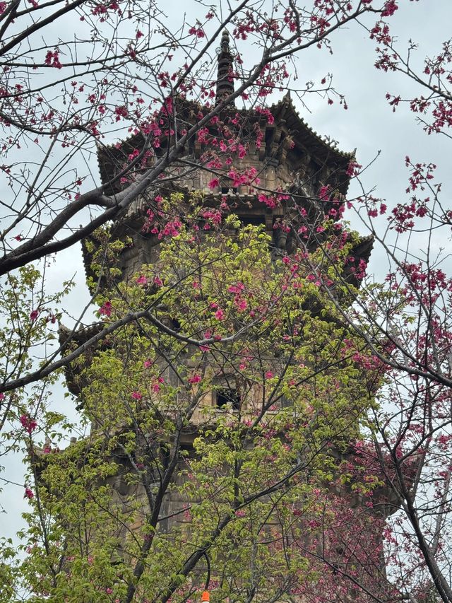 廈門-鼓浪嶼-泉州7日遊 玩轉三地不繞路
