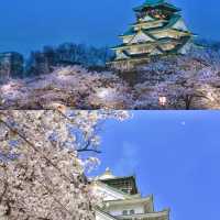 🌸櫻花季去大阪奈良 | 建議直接複製這條路線