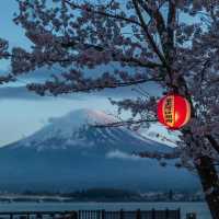 留一個春天給櫻花富士山🌸 真的美瘋