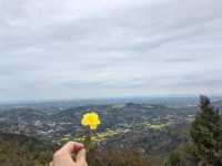 成都周邊徒步／三星觀景台，春日爬山賞花好去處