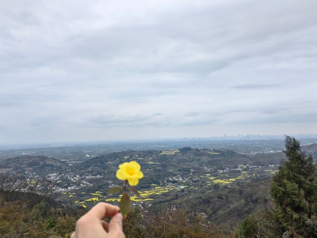 成都周邊徒步／三星觀景台，春日爬山賞花好去處