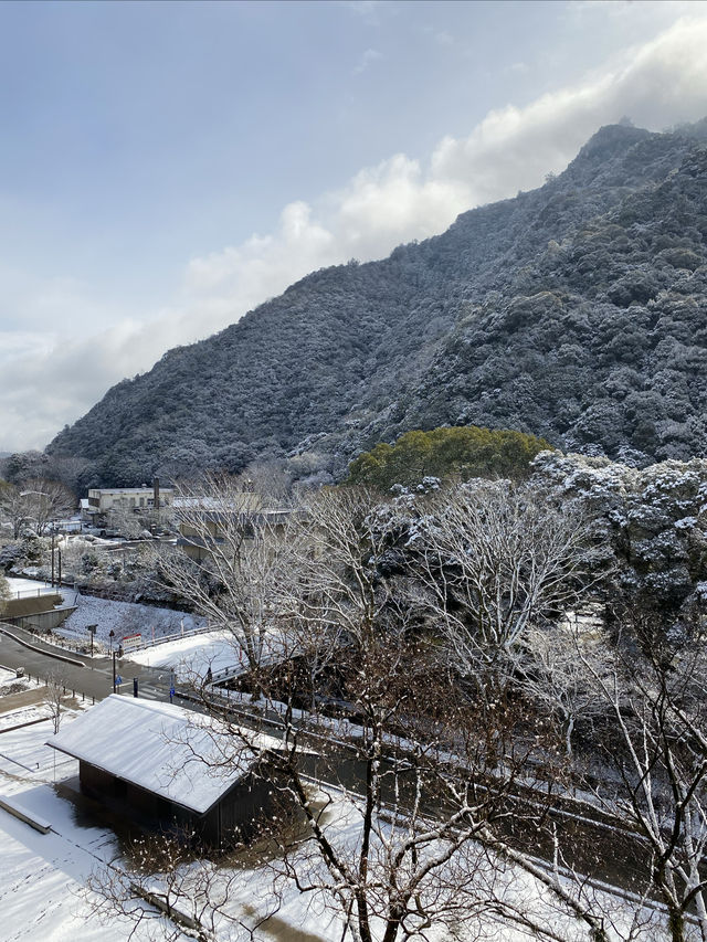 大雪紛飛金華山