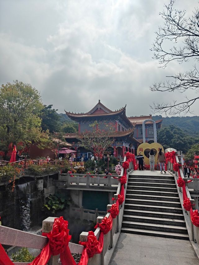 打卡東莞觀音山～來一場與自然的詩意邂逅～