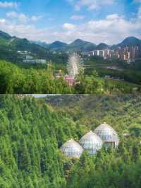 探索貴州六盤水梅花山，美不勝收！