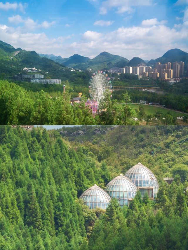 探索貴州六盤水梅花山，美不勝收！