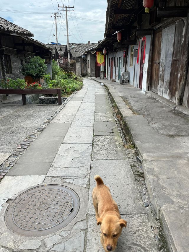 樂山2日遊 熱門打卡點全攻略