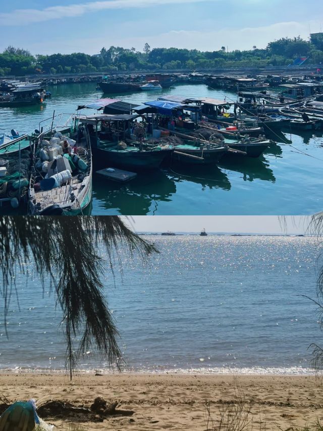 湛江特呈島