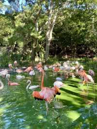 海風與繁花的輕語——海之中道海濱公園與能古島