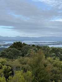 A Morning Walk Up The Mount, A Must Do In Tauranga NZ