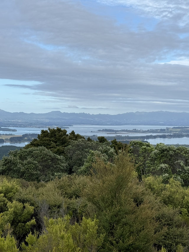 A Morning Walk Up The Mount, A Must Do In Tauranga NZ