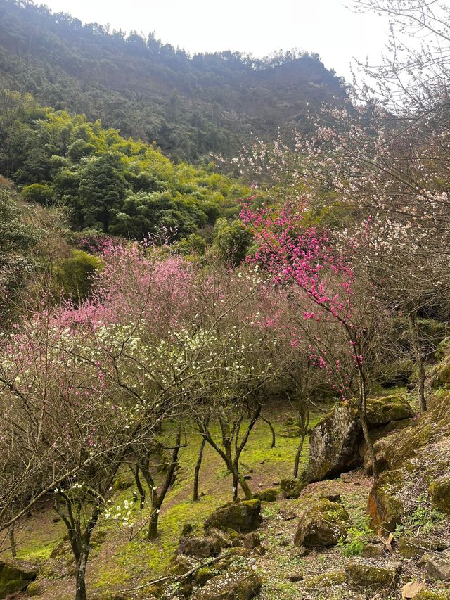 小長假 5日暢遊成都全攻略