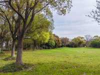 上海吳淞炮台灣國家濕地公園