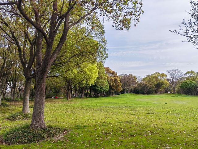 上海吳淞炮台灣國家濕地公園