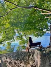 Discover the Beauty of West Lake with a 30,000-Step Adventure!