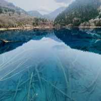 Enchanting Waters: The Magic of the Blue Lake in the Forest