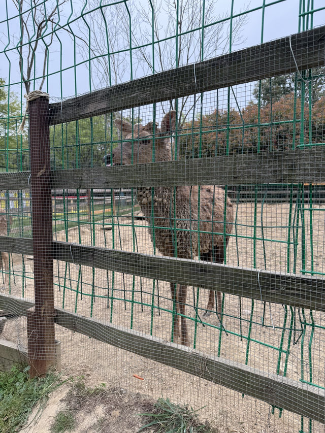 Afternoon @ Nanshan Ranch