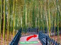 Purple Bamboo Park in Beijing: Pure Tranquility Hideout