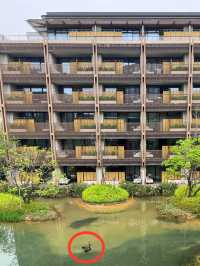 東莞松山湖悅榕莊度假村